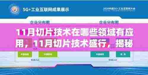 揭秘,11月切片技术在多领域的应用与价值盛行之处