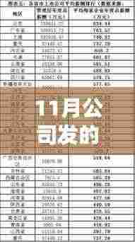 探究十一月工资差异，公司工资发放背后的原因与影响