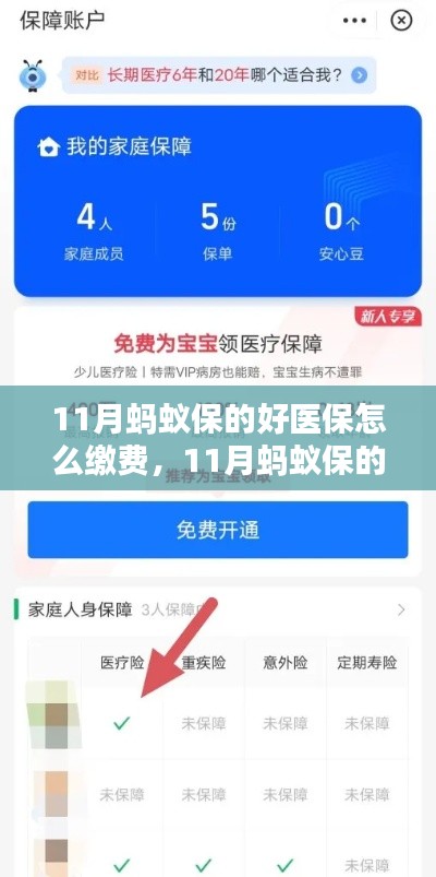 11月蚂蚁保好医保缴费攻略,轻松了解缴费流程