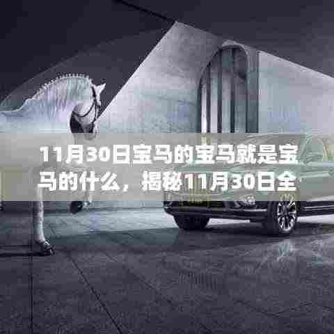 揭秘全新宝马,科技重塑驾驶体验,未来出行无限可能(11月30日深度解析)