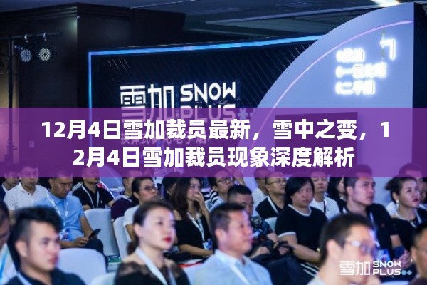 12月4日雪加裁员现象深度解析,雪中之变