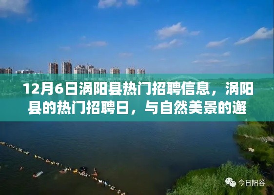 涡阳县热门招聘日,与自然美景同行,寻找内心的宁静平和之旅