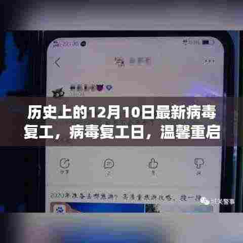 病毒复工日,十二月十日的历史回顾与温馨重启