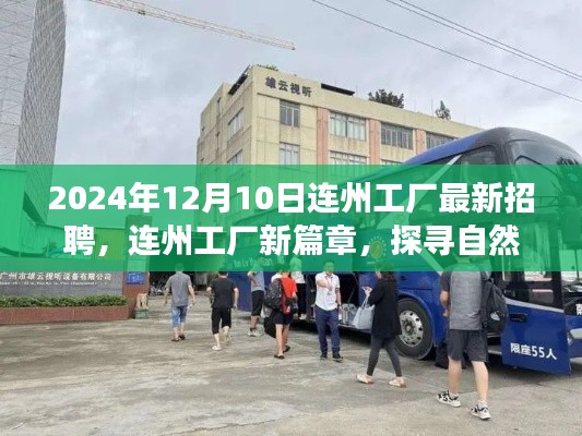 连州工厂新篇章,招聘启程,探寻自然美景与内心平静之旅