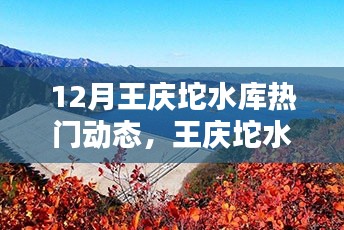 王庆坨水库智能管理系统引领科技生活新潮流,十二月热门动态与新宠上线