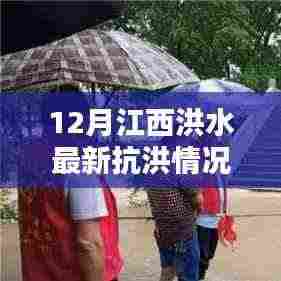 江西洪水最新动态,抗洪行动指南,初学者与进阶用户必备知识