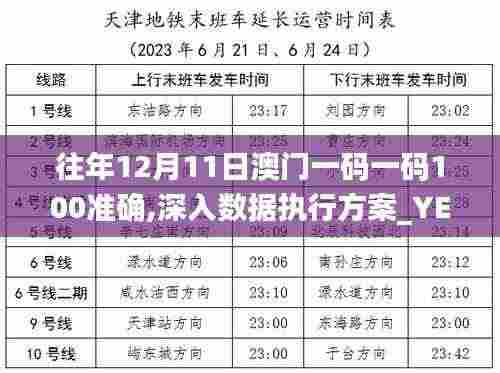 往年12月11日澳门一码一码100准确,深入数据执行方案_YE版3.623