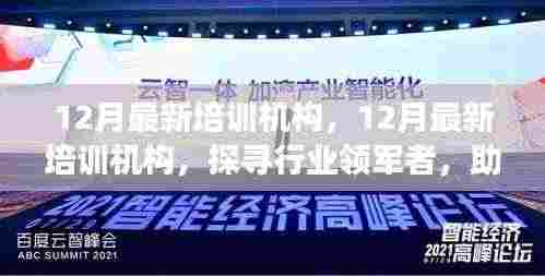 探寻行业领军培训机构,助力个人成长之路(12月最新更新)