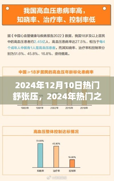 2024年热门舒张压智能健康设备深度评测,健康之选,引领未来