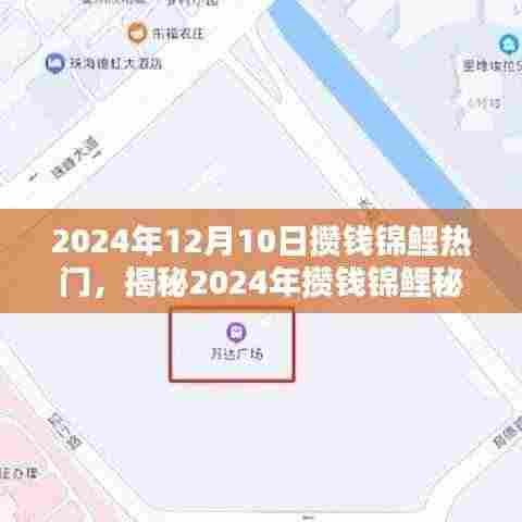 揭秘攒钱锦鲤秘籍,开启财富自由之门,2024年12月10日热门指南