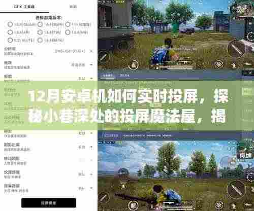 探秘安卓实时投屏秘诀,十二月投屏魔法屋,手机投屏全攻略