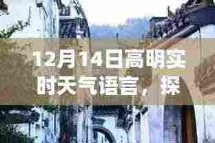 高明实时天气下的惊喜小巷美食之旅,探秘独特风味小店