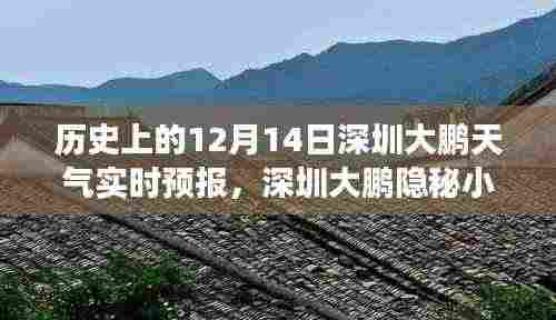深圳大鹏隐秘小巷天气故事与奇遇，历史天气回顾与特色小店探访