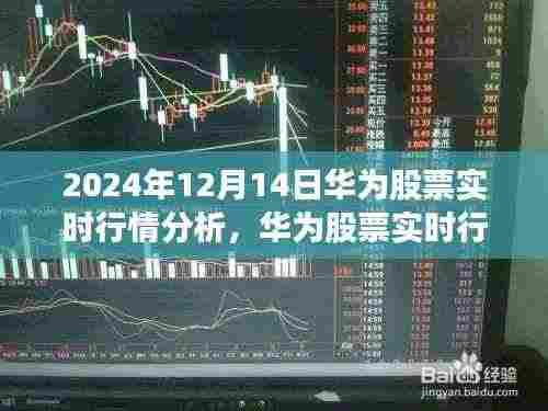 2024年12月14日华为股票实时行情深度洞察与分析