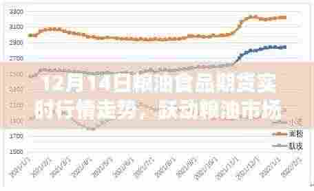 跃动粮油市场,掌握期货行情,成就梦想之路——12月14日粮油食品期货实时行情解析