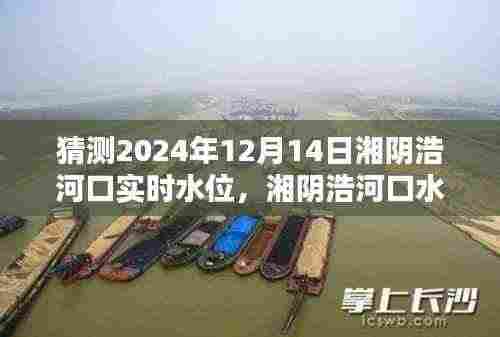 湘阴浩河口未来水位动态预测，探寻水位变化及深远影响，预测湘阴浩河口2024年12月实时水位数据揭晓