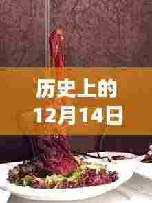 指尖上的羊肉价格动态,历史查询与未来交易风云揭秘