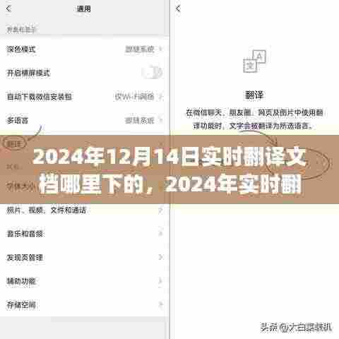 2024年实时翻译文档下载盛景，背景、事件与影响