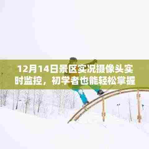 12月14日景区实时监控摄像头使用指南,初学者也能轻松掌握