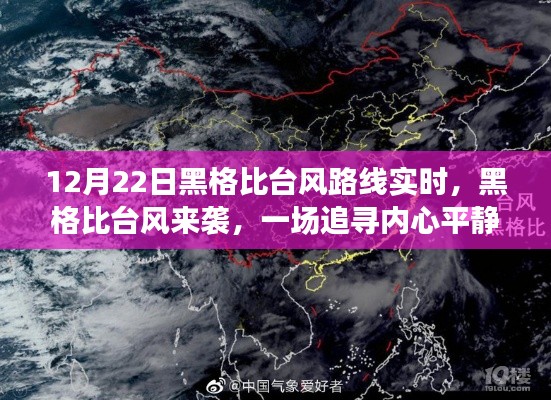 黑格比台风来袭,追寻内心平静的旅程实时报道