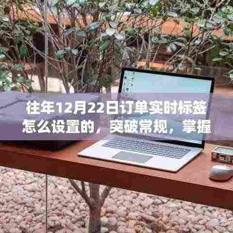 励志之旅,突破常规,掌握新技能——如何在往年12月22日设置订单实时标签的秘诀与经验分享