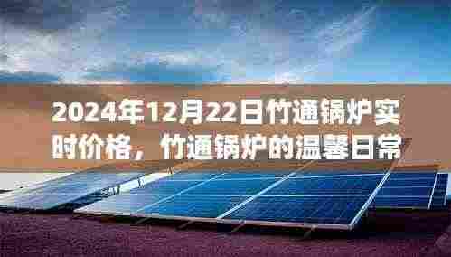 竹通锅炉实时价格与友情陪伴的温馨之旅,一场价格之旅的友情故事。