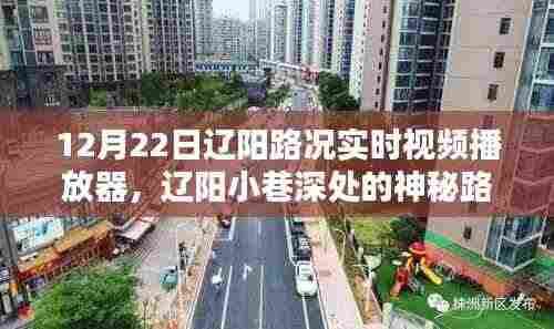 辽阳小巷深处的路况实时视频体验馆,探索独特魅力的极致体验