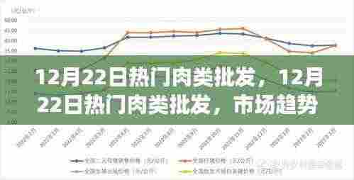 12月22日热门肉类批发趋势及市场与个人观点探析