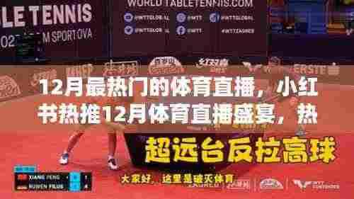 小红书热推！12月体育直播盛宴狂欢夜