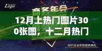 十二月热门图片盛典,300张精选瞬间,时代印记与情感共鸣