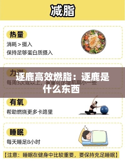 逐鹿高效燃脂：逐鹿是什么东西 