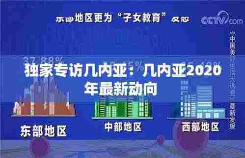独家专访几内亚:几内亚2020年最新动向