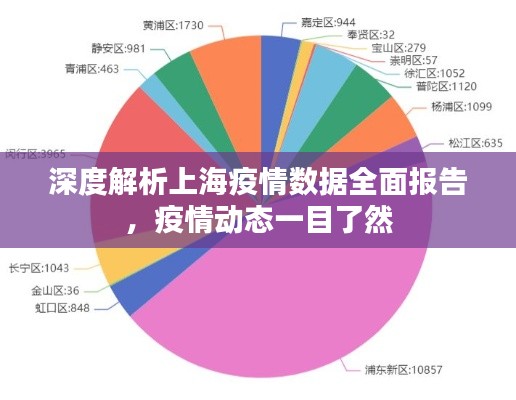 深度解析上海疫情数据全面报告，疫情动态一目了然
