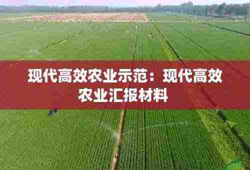 现代高效农业示范:现代高效农业汇报材料