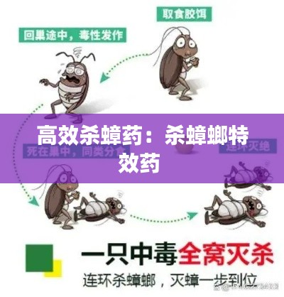 高效杀蟑药:杀蟑螂特效药
