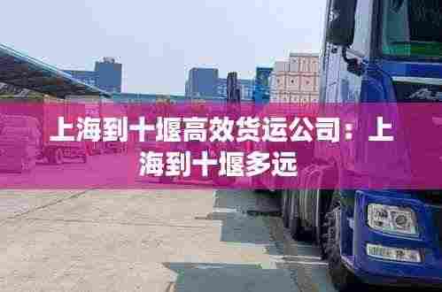 上海到十堰高效货运公司:上海到十堰多远