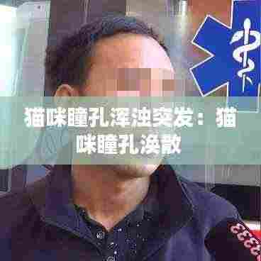 猫咪瞳孔浑浊突发:猫咪瞳孔涣散