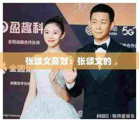 张颂文高效:张颂文的