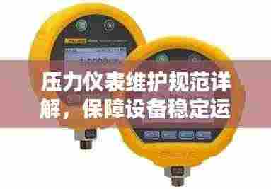 压力仪表维护规范详解,保障设备稳定运行的关键步骤