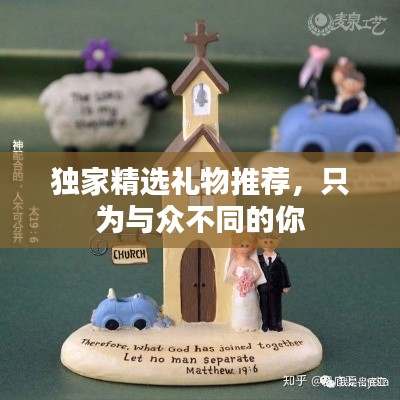 独家精选礼物推荐,只为与众不同的你