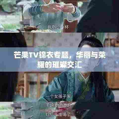 芒果TV锦衣专题,华丽与荣耀的璀璨交汇