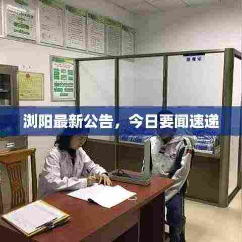 浏阳最新公告,今日要闻速递
