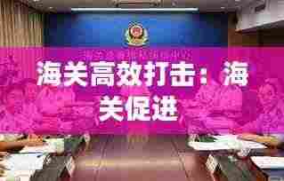 海关高效打击：海关促进 