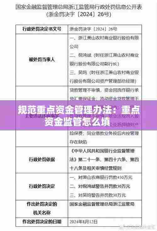 规范重点资金管理办法:重点资金监管怎么填
