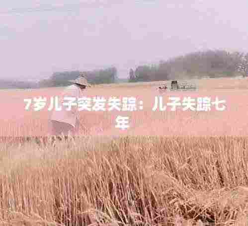 7岁儿子突发失踪:儿子失踪七年