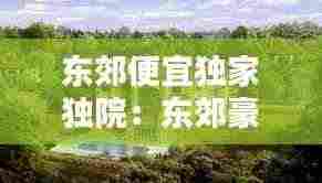 东郊便宜独家独院:东郊豪宅