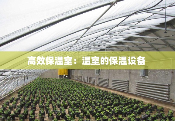 高效保温室:温室的保温设备