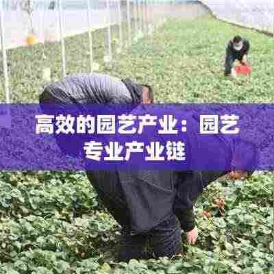 高效的园艺产业:园艺专业产业链