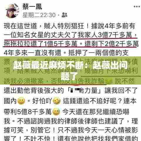 赵薇最近麻烦不断:赵薇出问题了