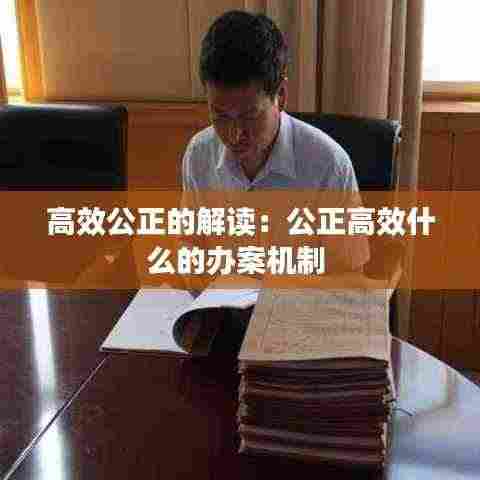 高效公正的解读:公正高效什么的办案机制